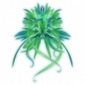 Flourite